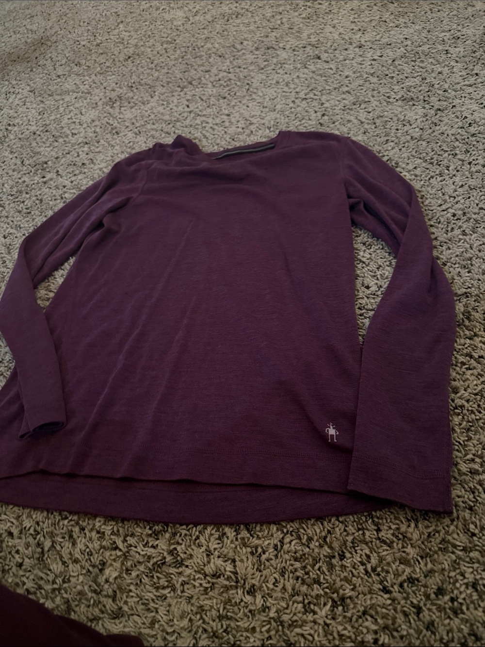 Smartwool Long Sleeve Tee in Deep Plum